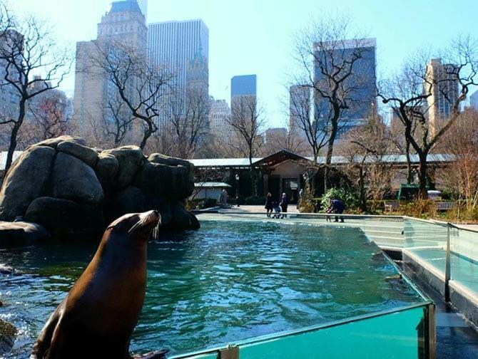 Appartamento Location In Nyc! 1bd Steps From Park