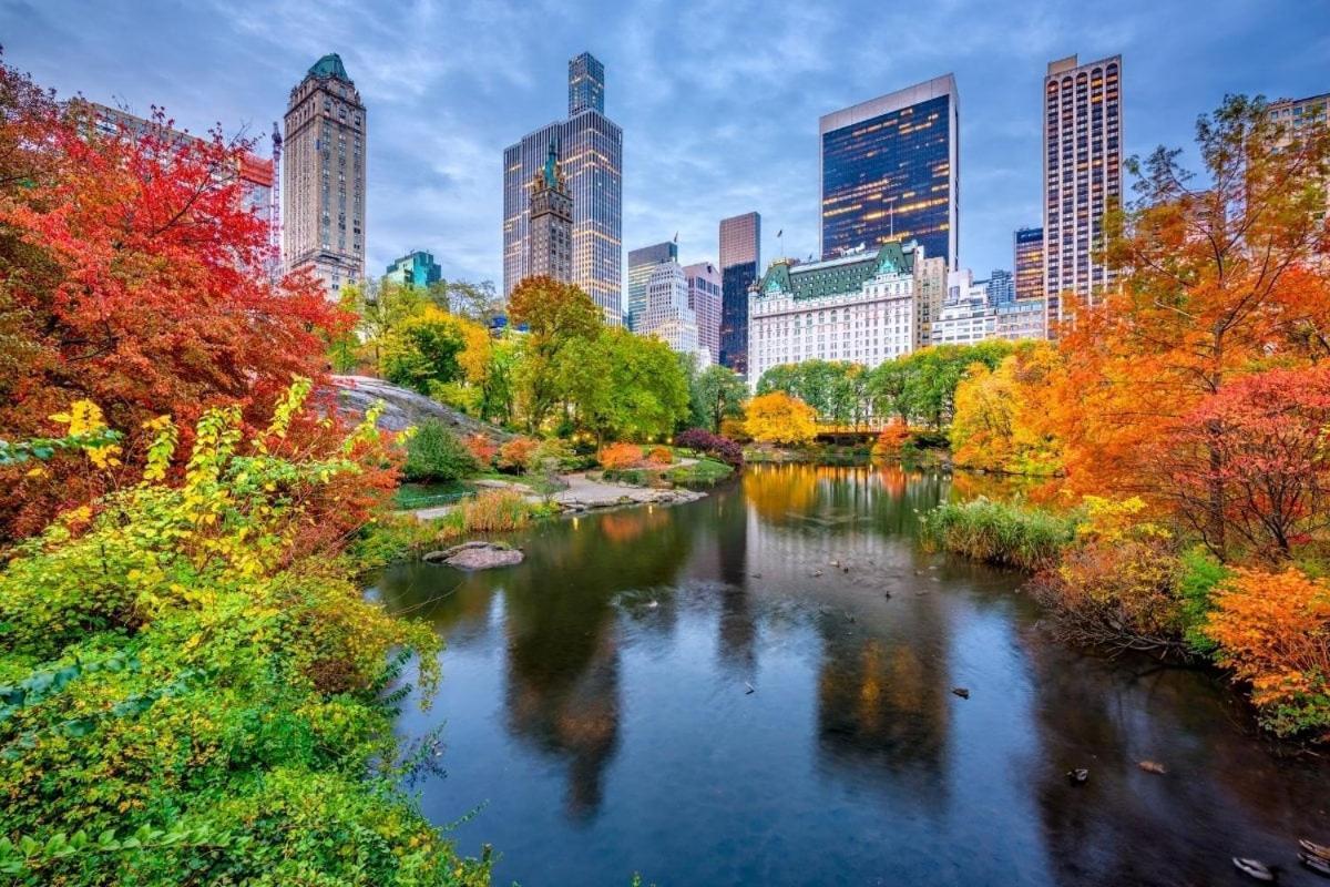 Location In Nyc! 1bd Steps From Park Appartamento